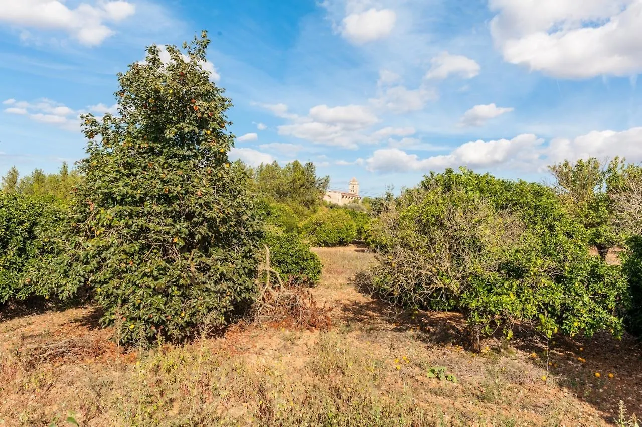 Ses Covetes Villa Petra